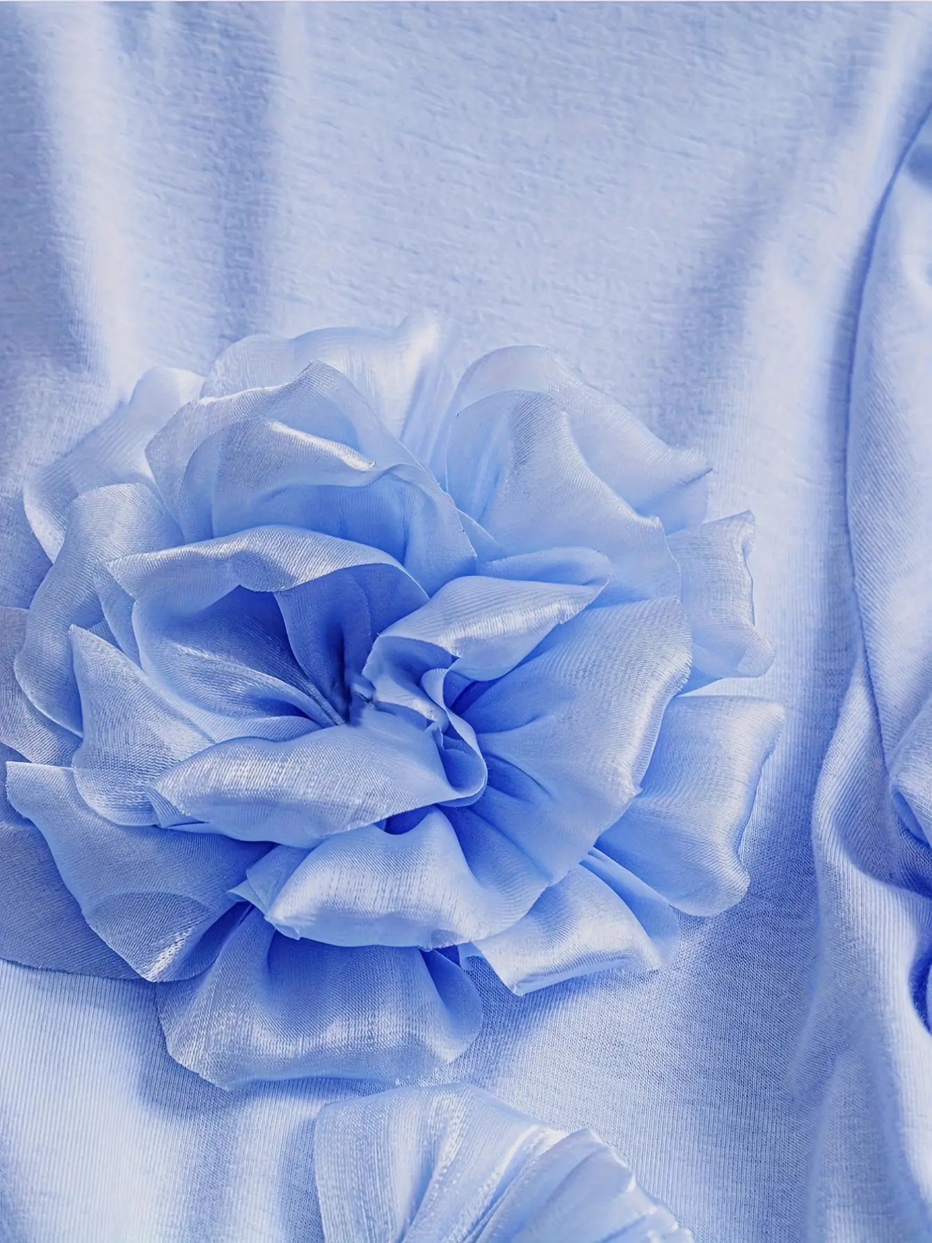 Women’s Blue 3D Floral Applique Crew Neck Top gallery view